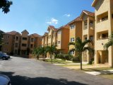 Kingston 6, Kingston / St. Andrew, Jamaica - Apartment for Lease/rental